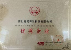 2019中国再生铅行业优秀企业